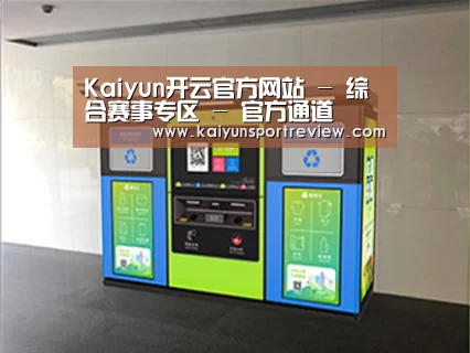 成功案例标题四