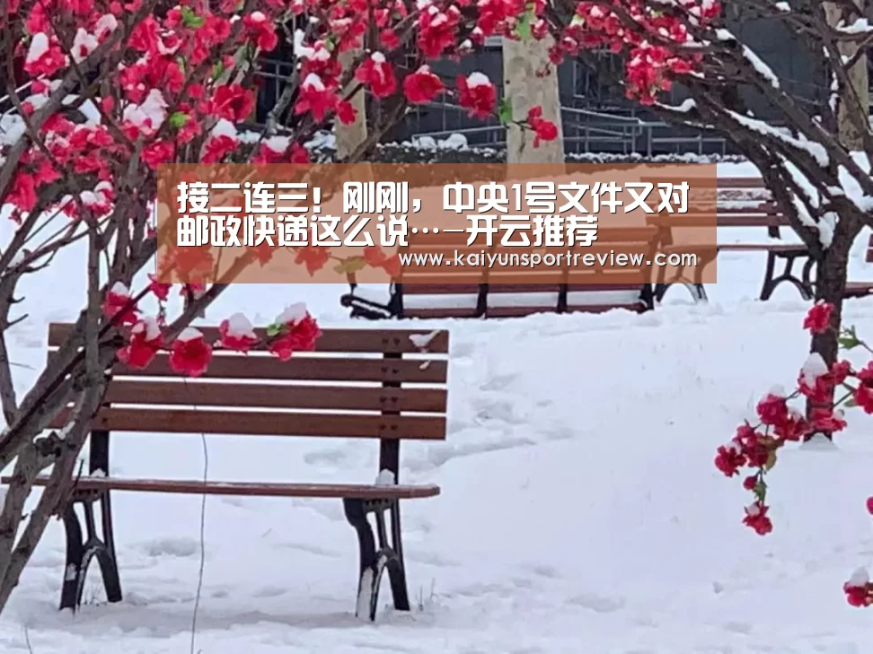 接二连三!刚刚,中央1号文件又对邮政快递这么说…-开云推荐(图1) 开云官网