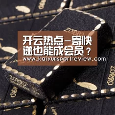 开云游戏