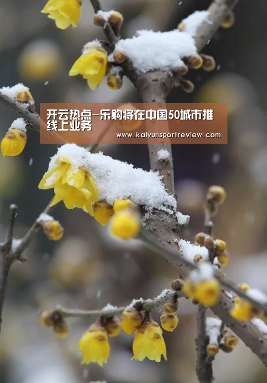 开云热点-乐购将在中国50城市推线上业务(图2) 开云官网
