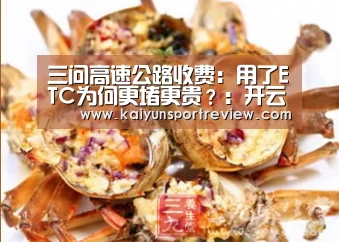 三问高速公路收费:用了ETC为何更堵更贵?:开云官网(图3) 开云游戏