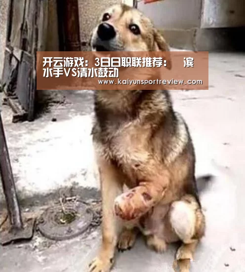 开云游戏:3日日职联推荐:橫滨水手VS清水鼓动(图2) 开云官网