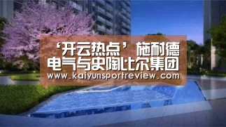 ‘开云热点’施耐德电气与史陶比尔集团建立合作伙伴关系(图1) 开云游戏