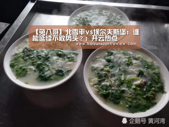 【兔八哥】北雪平vs埃尔夫斯堡;谁能延续不败势头?:开云热点(图1) 开云推荐