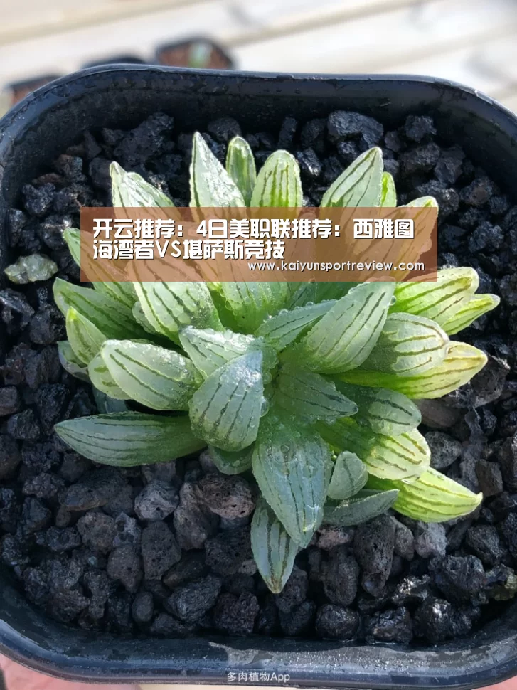 开云推荐:4日美职联推荐:西雅图海湾者VS堪萨斯竞技(图2) 开云官网