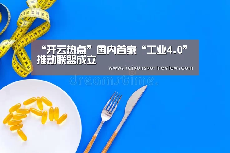 “开云热点”国内首家“工业4.0”推动联盟成立(图3) 开云游戏